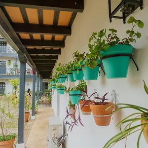 Earl's Farmyard , Sevilla España